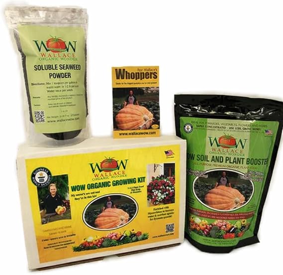 Grow Your Own Giant Pumpkin Kit