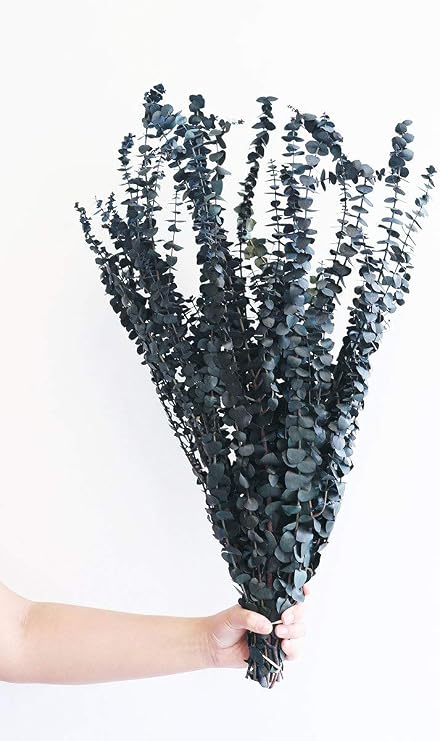 Afloral Preserved Eucalyptus in Blue