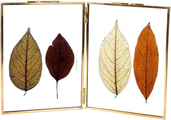 LONGWIN Gold Double 6x8 Folding Floating Picture Frames Vintage Square Brass Double Sided Glass Press Flowers Artwork Certificate Frames Plants Specimen Clip