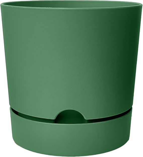 ToXA Begonya Saksı Tabaklı Drenajlı Mat Plastik Çiçek Saksısı (1 Adet, 3,3 Litre, 18cm, Yeşil)