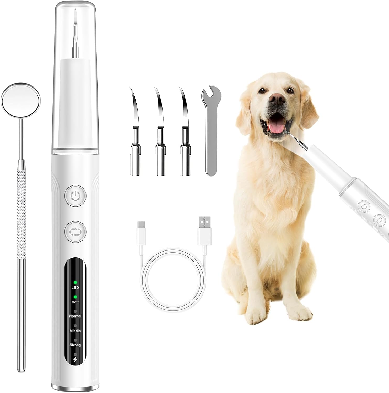 Plaque Remover for Teeth - Pet Tooth Cleaner - Teeth Cleaning Kit for Tartar and Stains for Dogs, Professional Pet Dental Cleaning Tool with LED Light, 4 Speed Settings, 10 Min Auto-Shutof, White