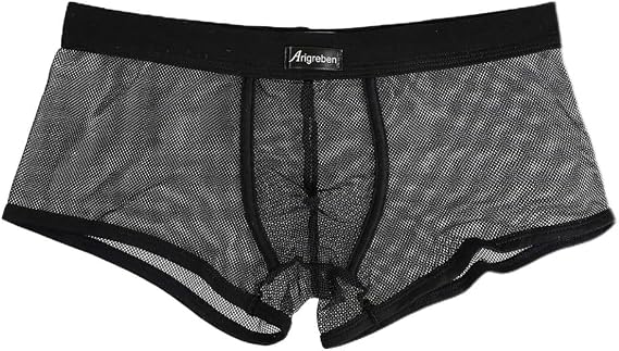 Mens Sexy Briefs See Through Sheer Boxer Mesh Underwear Shorts Trunks Mens Fishnet Boxers Breathable Hollow Out Underpants Lounge Pajama Trunks Soft Transparent Boxer Shorts Antibacterial Panties