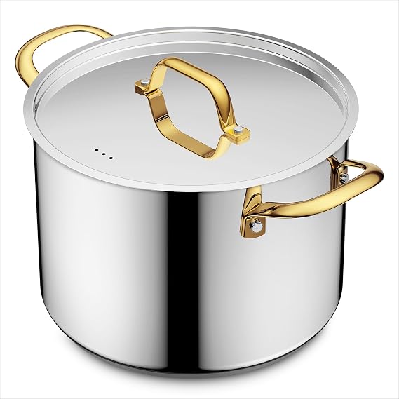 BEZIA 8 QT Stainless Steel Stock Pot with Lid, Uncoated Cooking Pot