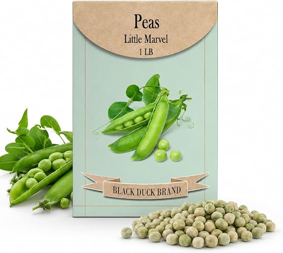 1lb Peas Vegetable Seeds - Heirloom & Non GMO - High Germination - 80 Individually Packaged Packets