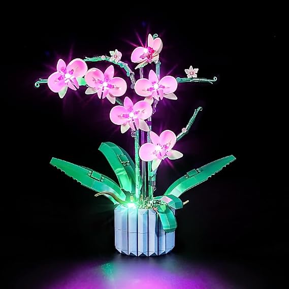 YEABRICKS LED Light for Lego 10311 Creator Orchid Building Blocks Model (Lego Set Not Included)