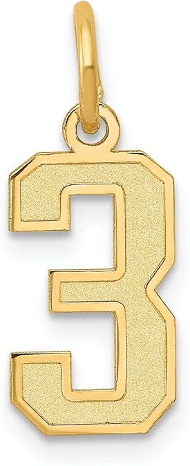 14k Yellow Gold Satin Brush Finish Small Size Number 3 Charm Pendant