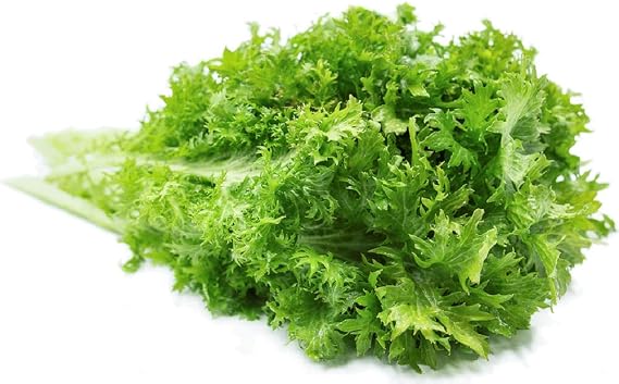 Wasabi Mustard Green Seeds - 100 Count Seed Pack - Non-GMO - Large Green Leaves with Wavy Edges and a Fun Wasabi-Like bite. - Country Creek LLC