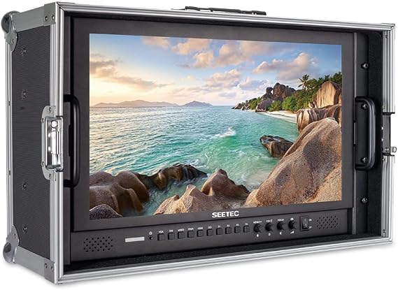 P173-9HSD-CO 17.3" 400nit 3G SDI 4K HDMI Broadcast Carry on Monitor