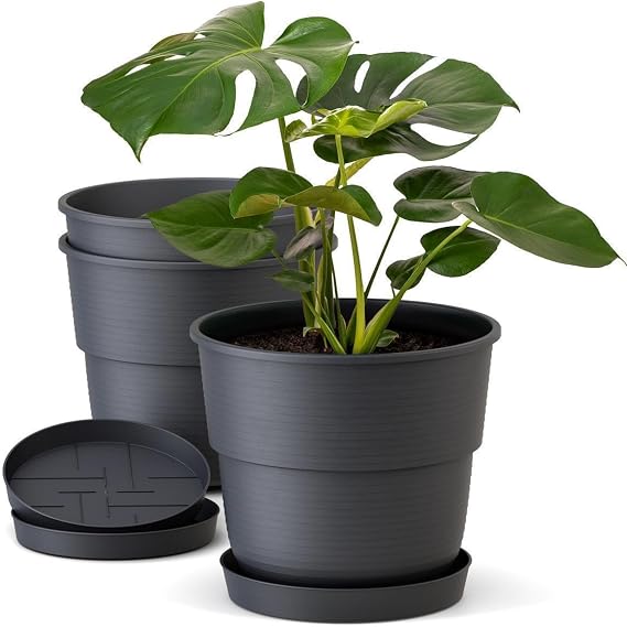 Plastard Flower Pot Set of 3 Diameter 32 cm with Saucer Anthracite Plant