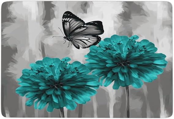 Living Room Rugs Rectangle Non Slip Washable 3'x5' Gray Teal Flower Butterfly Printed Coral Velvet Floor Mat for Bedroom Entryway Kids Playroom Rug