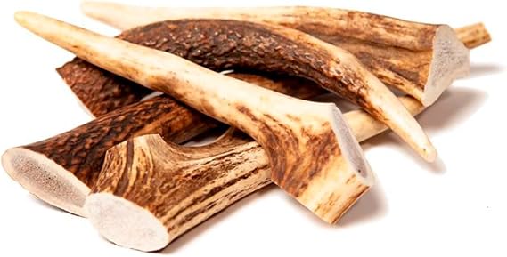 EcoKind Deer Antler Tips for Crafts, 5-8 Antler Tips for Crafting, 8 oz | Natural Antler Pieces, Durable Craft Material, Unique Handmade Designs, DIY Decorations, Creative Art Projects