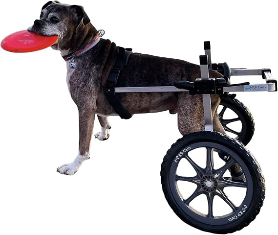 Dog Wheelchair Back Legs, Adjustable, Custom Made in USA, 50-69lbs