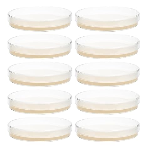 Nutrient Agar Plates 9cm Pack of 10 for Petri Dish Science