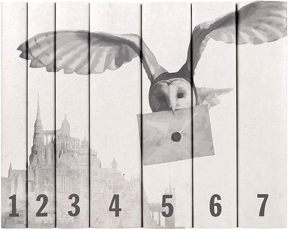 Juniper Books - Harry Potter 7 Volume Boxed Set: Castle and Owl Special Edition - Custom Designed Collectible
