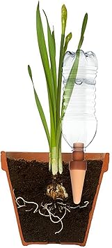 Blumat Plant Watering Devices - Easy Self Watering Planter Insert for Indoor Plants - Bottle Adapter - Prevents Overwatering and Underwatering for Healthy Growth - 1 Pack