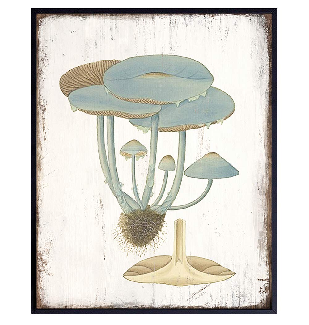 Psychedelic Magic Mushrooms - Hallucinogenic Medicinal Mushrooms - Botanical Prints Art - Psilocybin Spores Trippy Wall Decor - Boho Gifts - Vintage Rustic Kitchen Wall Decor - Hippie Room Decor