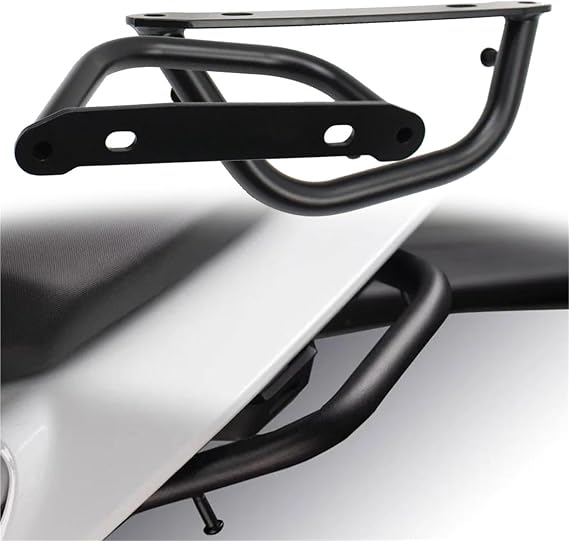 Rear handle Motorcycle Accessories Aluminum Armrest Passenger Rear Seat Handle Grab Bar Hand Rail Grips For DUKE 250