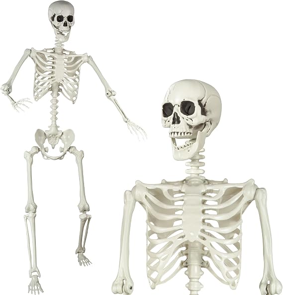 5.4ft Halloween Skeleton Life Size Posable Skeleton Realistic Full Body Plastic Human Bones for Halloween Decorations