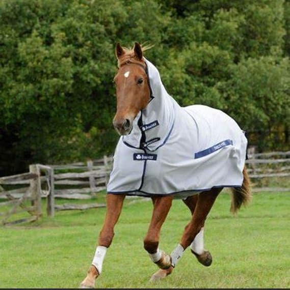 Bucas Buzz Off X Fly Sheet, FN - 78IN