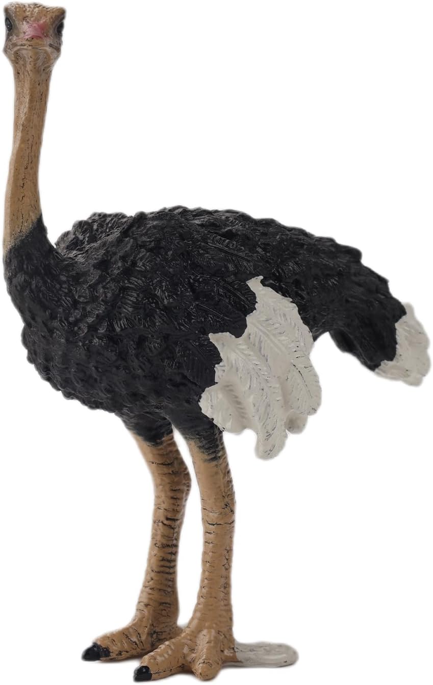 Andux Realistic Animals Figures Toys Marine Life Wild Jungle Learning Educational Playset FZDW-03 Ostrich OX117-120