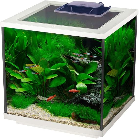 Interpet Aqua Cube Glass Fish Tank Aquarium with Integrated LED Lighting and Easy Care Filter, 28L, Clear/White