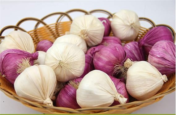 Zzooi Artificial Lifelike Fake Garlic Faux Garlic White and Red 10PCS Totall