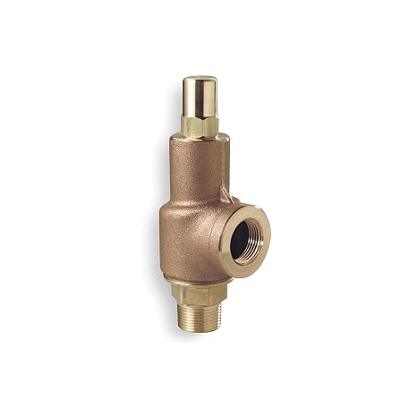 69C1-100 Series 69 Liquid Relief Valve, 100 psi, 1" x 1"