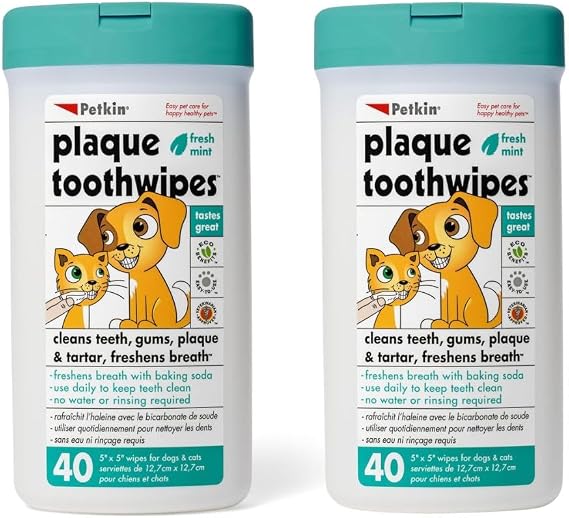 Petkin Cat and Dog Dental Wipes, 80 Wipes (Fresh Mint) - Natural Formula Cleans Teeth, Gums & Freshens Breath - for Daily Use - Convenient Dog Dental Care - 2 Packs of 40 Wipes (80 Wipes Total)