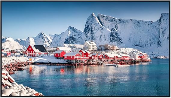 Panasonic 50" 4K Professional Display TH-50SQE2W