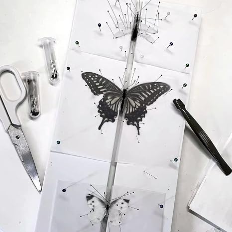 Insect Pinning Board, EVA Foam Board Pose Insects Boards Butterfly Spreading Wings Board Combined Plates, Adjustable Wide Spa