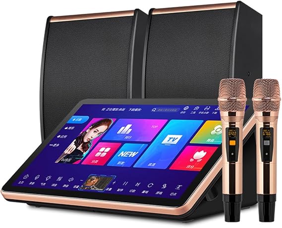 Professional Karaoke System, 15.6in Karaoke Machine with 2 Wireless Microphones & Speakers, Built-in 500G Harddisk, Professional DSP Digital Megaphone (Black)