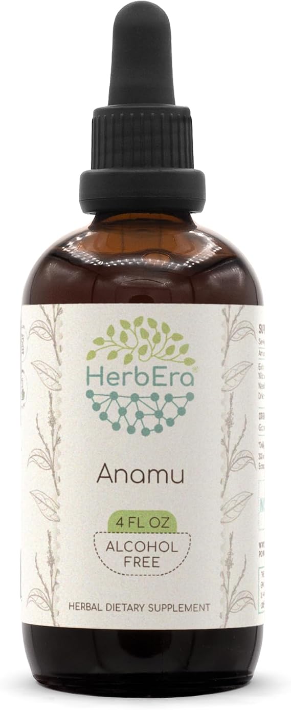 HerbEra Anamu Alcohol-Free Herbal Extract Tincture, Wildcrafted Jamaican Guinea Hen Weed (Petiveria Alliacea) Dried Herb (4 fl oz)