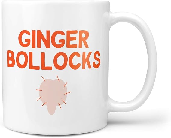 TeHe Gifts Ginger Bollocks Mug - Gift for Ginger Friend Family Member Gingers Gifts