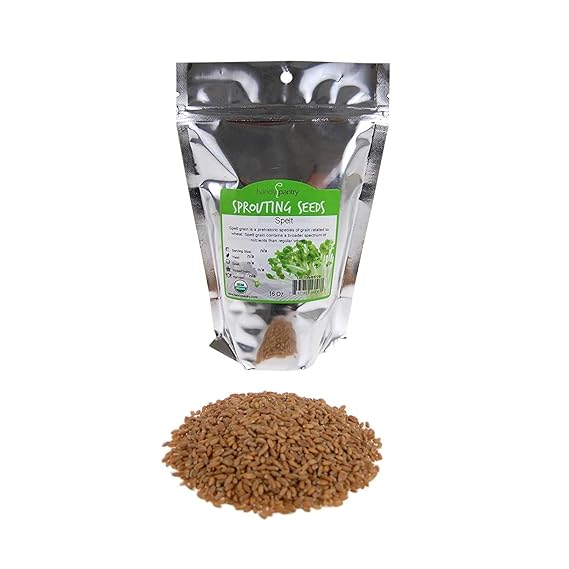 Handy Pantry Organic Spelt Seeds Whole Ancient Grain for Baking, Juicing, Microgreens, Food Storage 1 lb Resealable Bag Non-GMO, Unprocessed, Raw