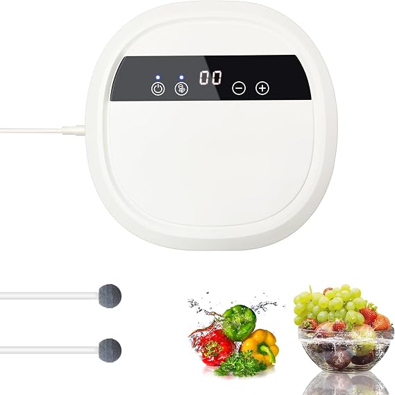 Ozone Generator for Water and Air, Air Purifier Negative Ion Purifier | Fruit and Vegetable Food Cleaning Ozone Machine, Remove Odor for Home and Car, with 12V Converter