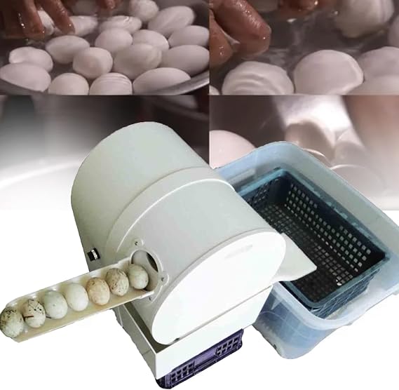 Automatic Egg Washer Machine, Electric Egg Washing Machine, Egg Surface Cleaning, 2300 Pcs/H Chicken Duck Goose Egg Egg Cleaner Wash Machine, Egg Washer Machine Tool for Home Farm,110V