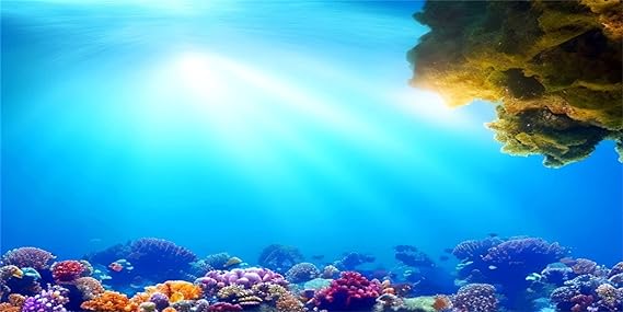 91x50cm Aquarium Sunshine Blue Sea Coral Underwater Fish Tank Background