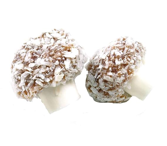 Taveners Coconut Mushrooms 1 Kilo Bag