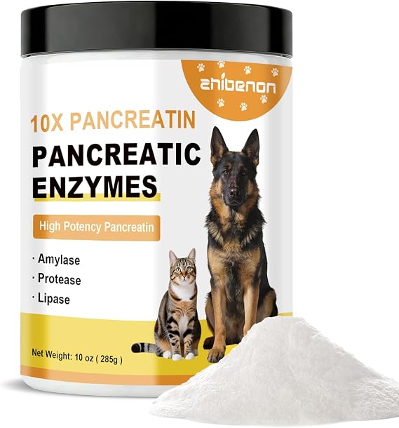 Pancreatic Enzyme Powder for Dogs - 10X High Potency Pancreatin Supplement (285g/10oz) - Supports Nutrient Absorption, Improves Digestive Health for Pets
