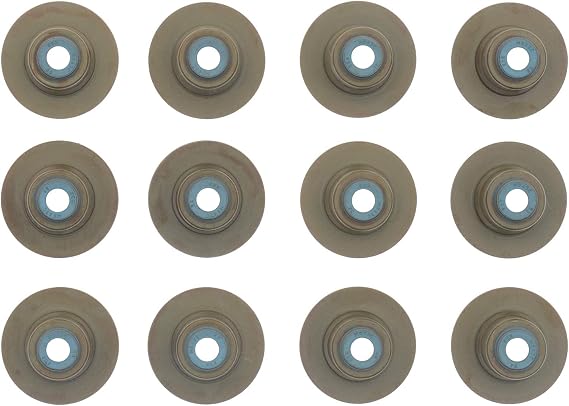 Victor Reinz 12-10032-01 Engine Valve Stem Oil Seal Set