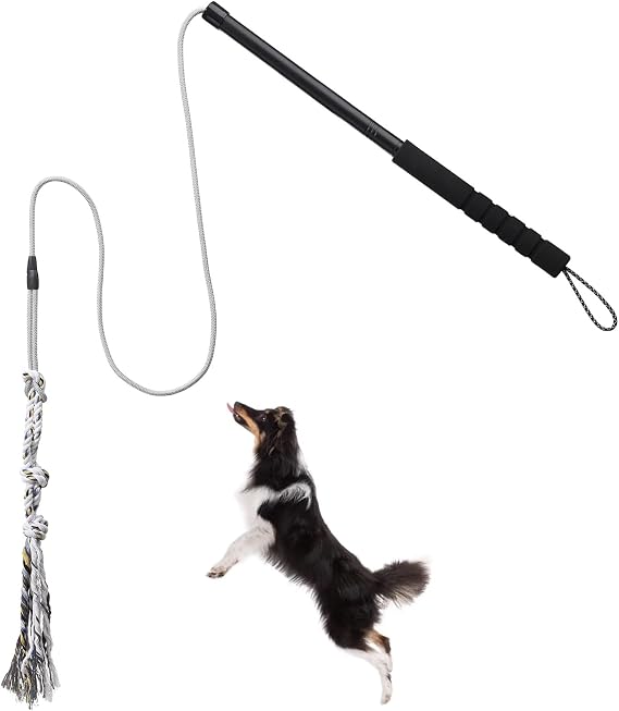 Flirt Pole for Small Medium Dogs, Interactive Chase and Tug of War Outdoor Toys, Heavy Duty Teaser Wand with Rope, Durable Flirt Stick for Agility Exercise & Training