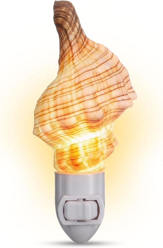 Nautical Crush Trading Seashell Night Light Beach Night Light with Real Fox Sea Shell Light for Bathroom Sea Shell Lamp Seashell Lamp Plug Into Wall
