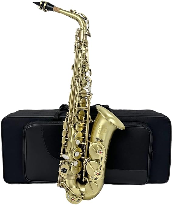 JAS-804 Alto Saxophone Eb Antique Bronze Color Beginner/Performer