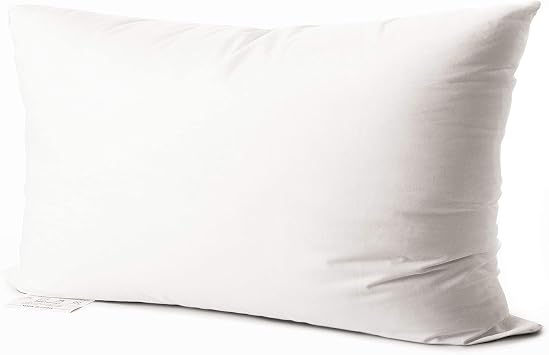 EDOW Luxury Throw Pillow Insert, Soft Fluffy Down Alternative Polyester Square Form Decorative Pillow Insert,Sham Stuffer,Cotton Cover for Sofa, Couch,Bed and Car. White, 12x20