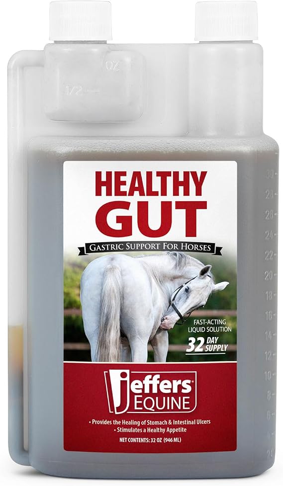 Jeffers Healthy Gut Horse Gastric Support Liquid Digestive Supplement for Horses Prone to Ulcers, Easy to Feed Formula, Supports Gut Comfort & Balanced Digestion 32 oz (32 Day Supply)