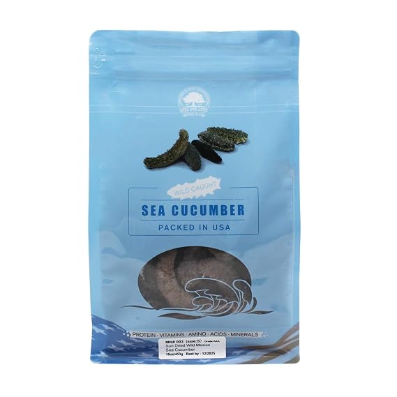 DOL AAA Grade Sun Dried Wild Caught South American Sea Cucumber, AAA Grade All Natural Nutritious / (Small 1lb/bag)
