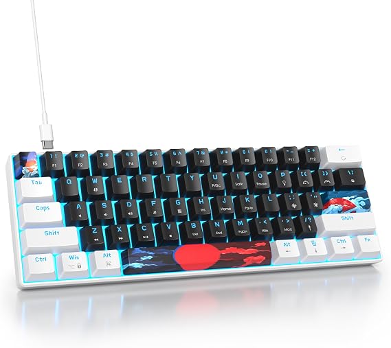 60 Percent Gaming Keyboard 61 Keys Mechanical Keyboard Ultra Compact Wird Keyboard LED Backlit with Red Switch for PC Laptop Gamer(61 Black)