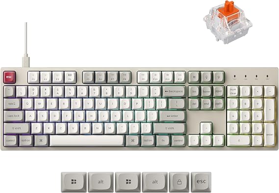 Keychron C2 Pro Wired Mechanical Keyboard 8K Hz Polling Rate Full Size Custom RGB Backlight Hot Swappable Shine Through PBT Keycap for Mac Windows Linux Silent Red Switch