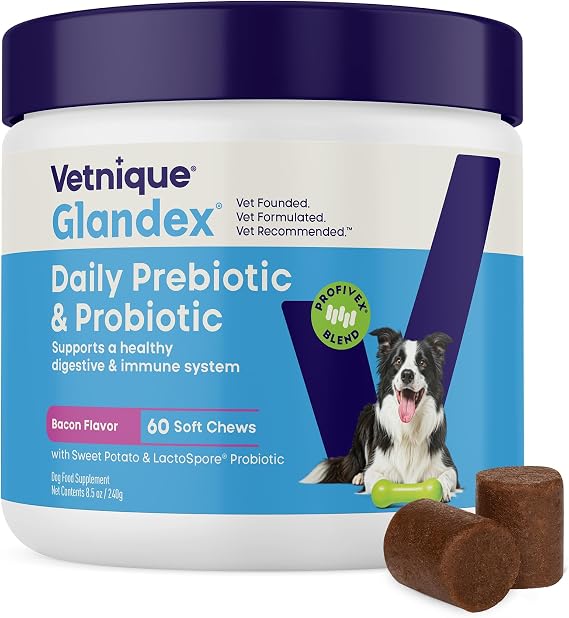 Vetnique Glandex Probiotics for Dogs 60ct Soft Chews, Prebiotics & Enzymes | Dog Probiotics for Digestive Health, Bacon Flavor Gut Support, Vet Formulated for Occasional Diarrhea Digestive Enzymes