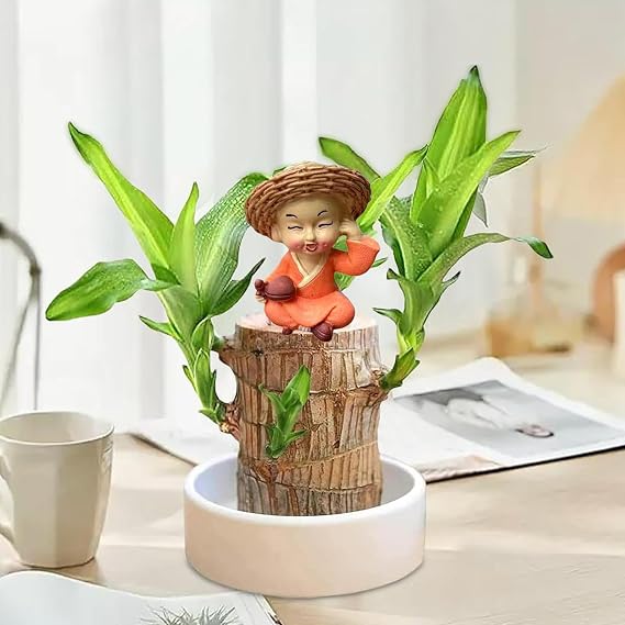 Brazil Wood Hydroponic Tree Stump with Doll & Tray, Brazil Wooden Potted Plant, Brazilian Hydroponic Planting with Tray,Wood for Indoor Office Desktop (F)